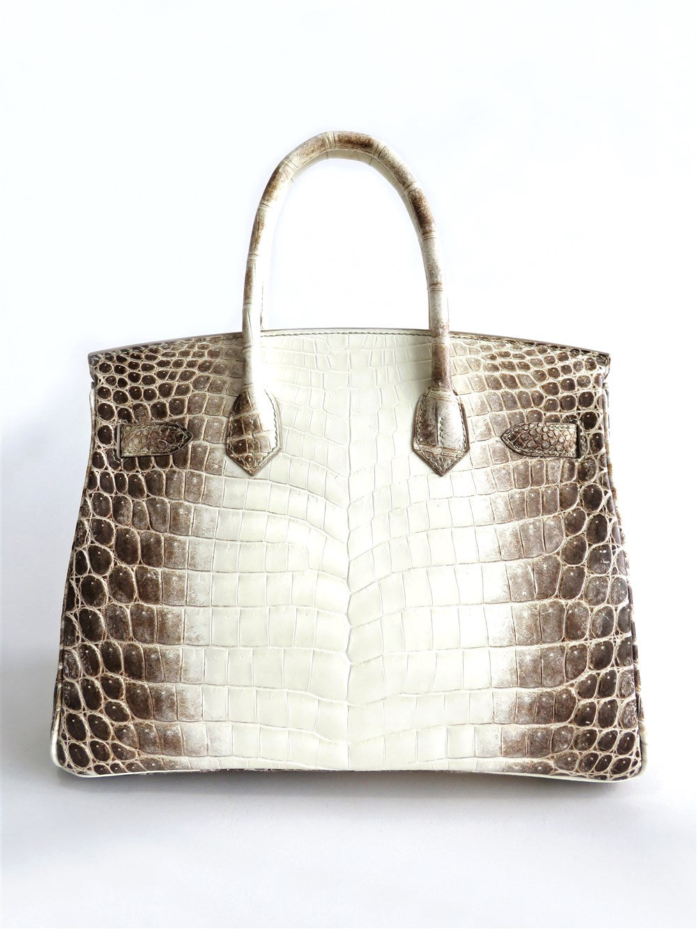 ヒマラヤ バーキン30