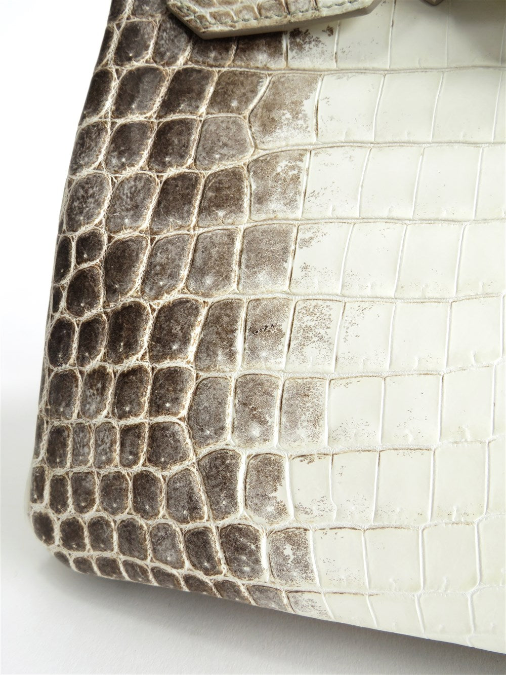 ヒマラヤ バーキン30